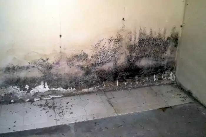 جلوگیری از رطوبت کف ساختمان